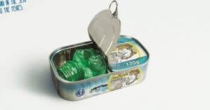 OndAzul NGO: Sardine