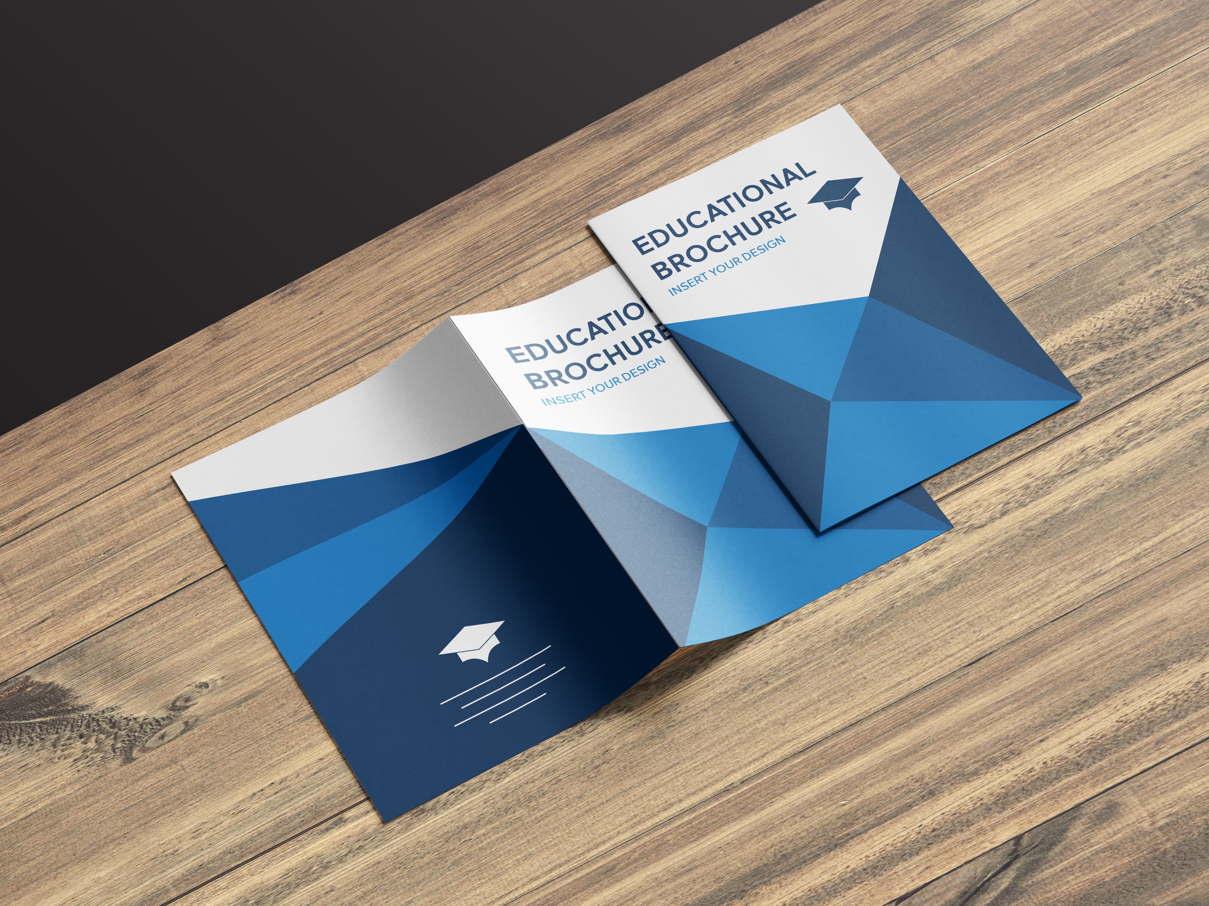 Educational Brochures