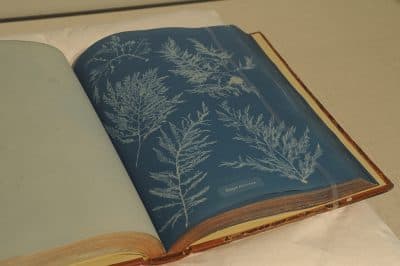 Early Photobooks