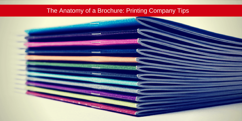 The Anatomy of a Brochure | Brochure Printing