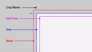 The Bleed Area and the Trim