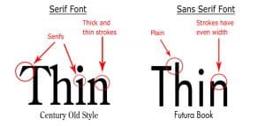 Sans Serif and Serif Typography