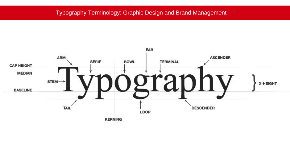 Typography Terminology | Graphic Design