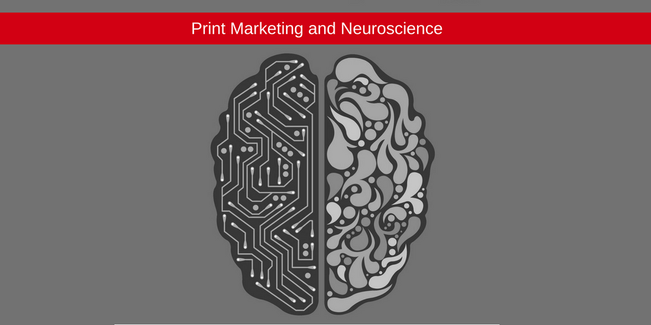 Marketing and Neuroscience