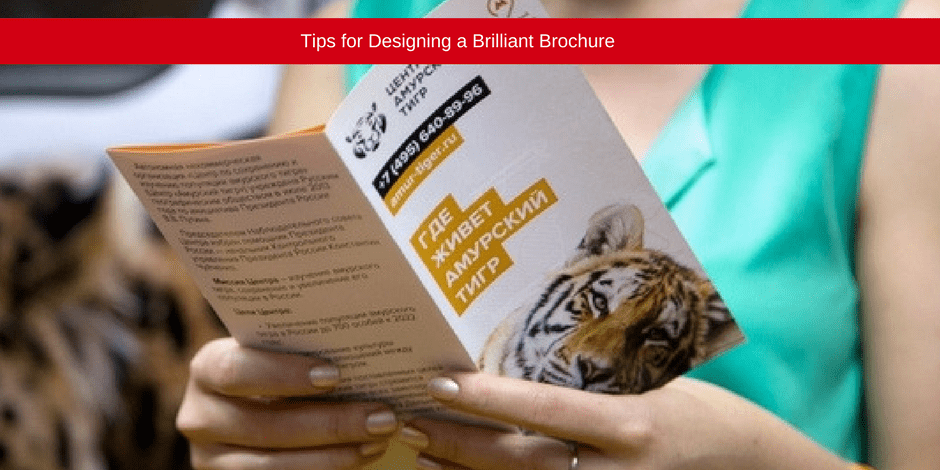 Tips for designing a brilliant brochure